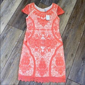 Elegant Coral Lace Dress